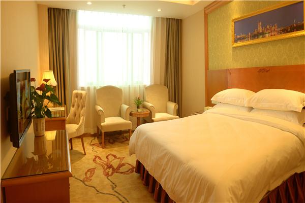 丽顿华居酒店 卓越管理之道，铸就非凡住宿体验